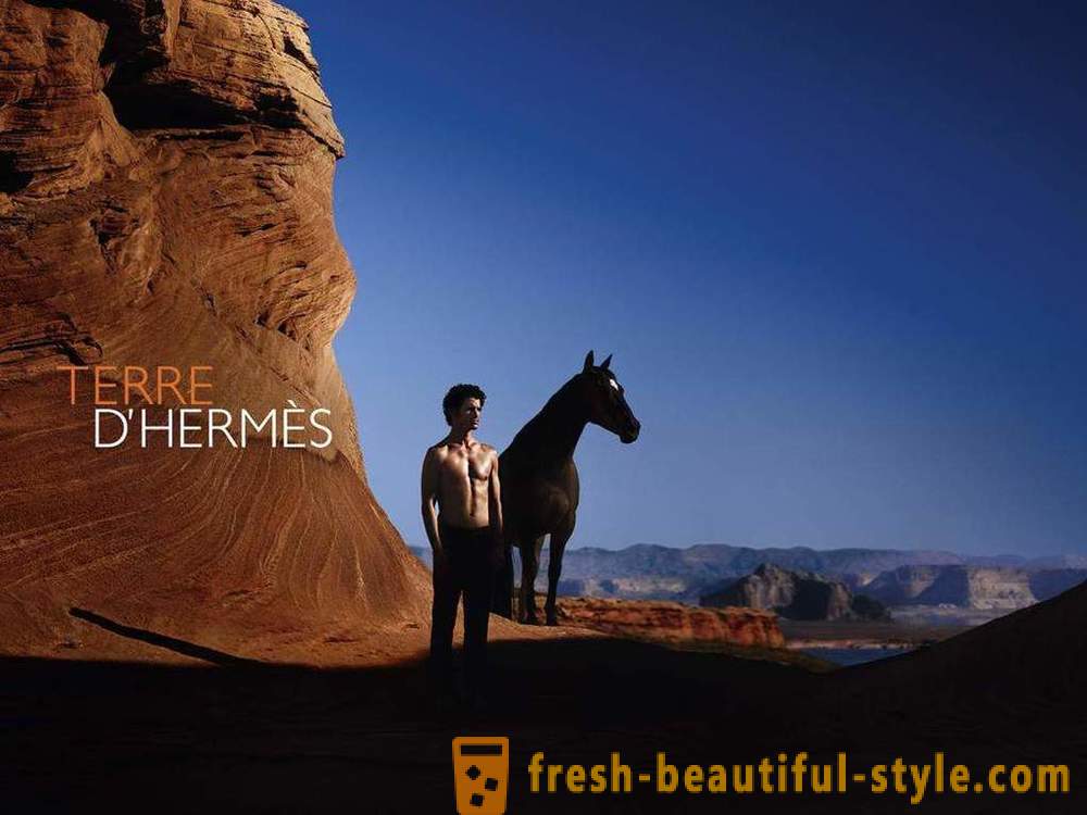 Aromatische elegantie van mannelijke parfum door Hermes