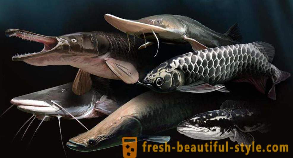 Vissen in Tsjajkovski. Perm Territory, Tsjajkovski, Kama rivier