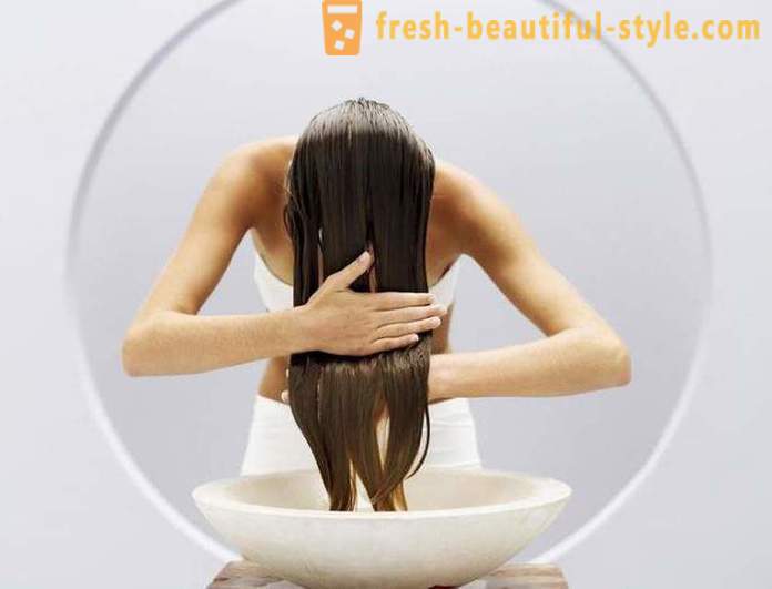 Effectieve shampoo voor vet haar: reviews, types en fabrikanten