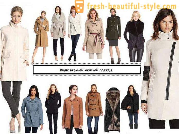 Soorten kleding - een beschrijving van de beste combinaties en aanbevelingen stylisten