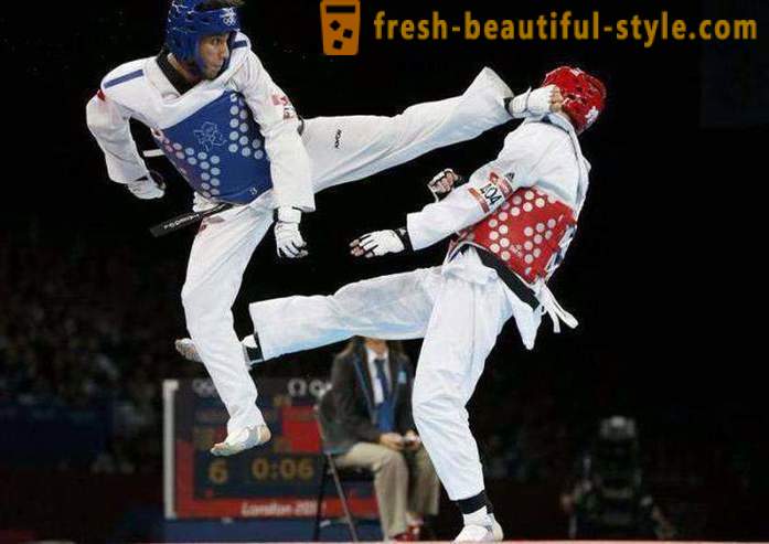 Wat is Taekwondo? Beschrijving en de regels van de krijgskunst