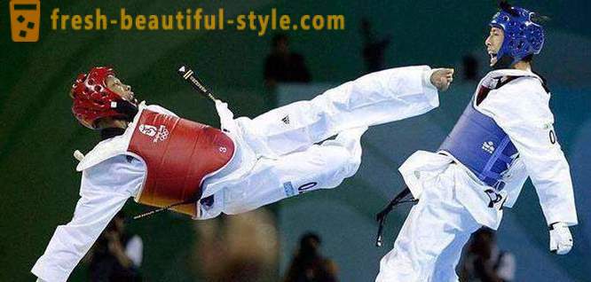 Wat is Taekwondo? Beschrijving en de regels van de krijgskunst