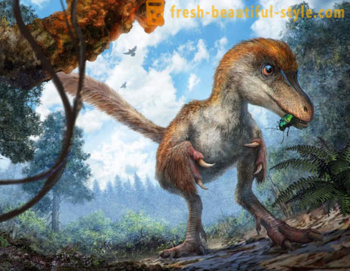 Unieke bevindingen in verband met dinosaurussen