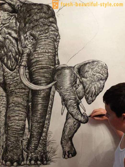 Servische tiener trekt prachtige portretten van de dieren door middel van een potlood of een balpen