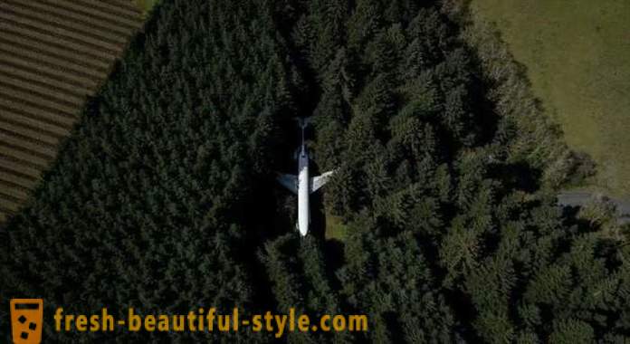 American, 15 jaar van het leven in een vliegtuig in het midden van het bos