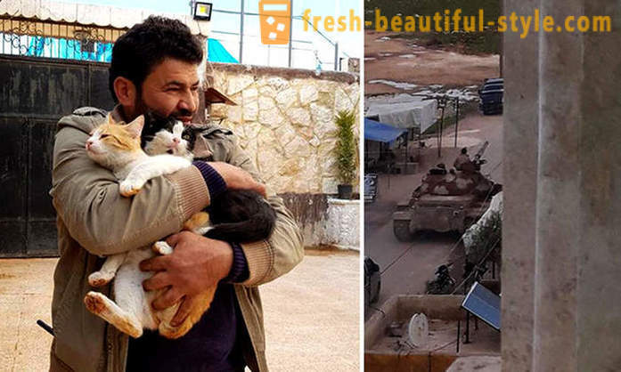 De man bleef in de door oorlog verscheurde Aleppo om te zorgen voor verlaten dieren te nemen