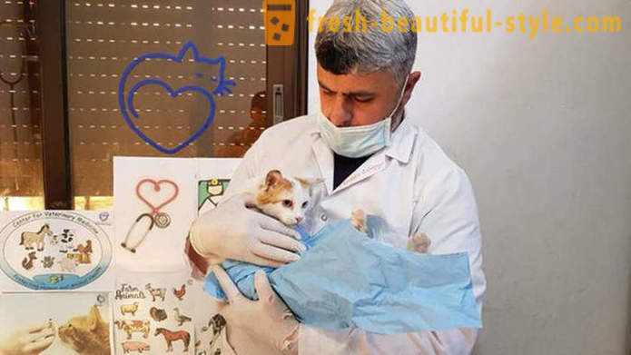 De man bleef in de door oorlog verscheurde Aleppo om te zorgen voor verlaten dieren te nemen