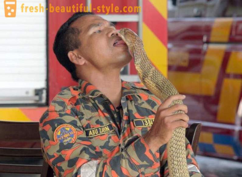 De beroemde temmer van cobra's overleden aan de beet
