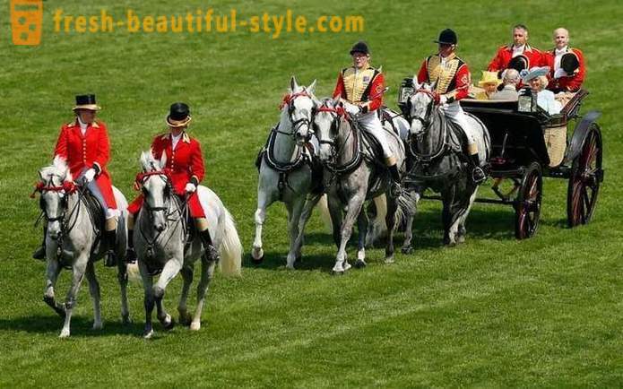 Britse high society aan paardenraces op Ascot