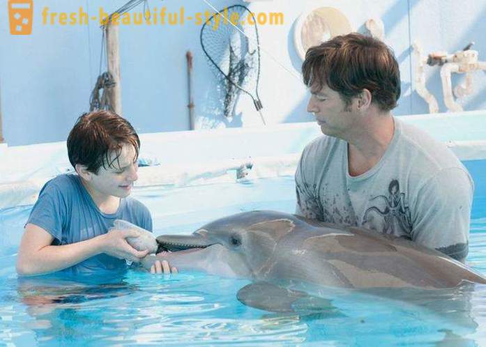 Een selectie van films over dolfijnen