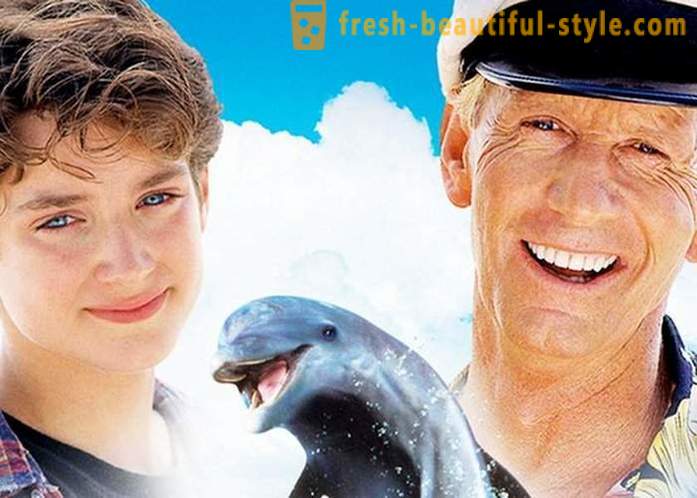 Een selectie van films over dolfijnen