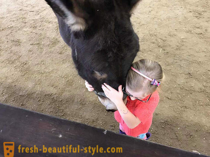 Animal therapie: een mute meisje begon door middel van een ezel te spreken