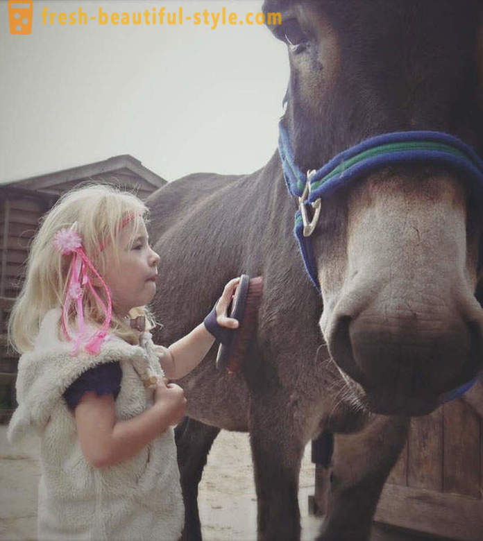 Animal therapie: een mute meisje begon door middel van een ezel te spreken