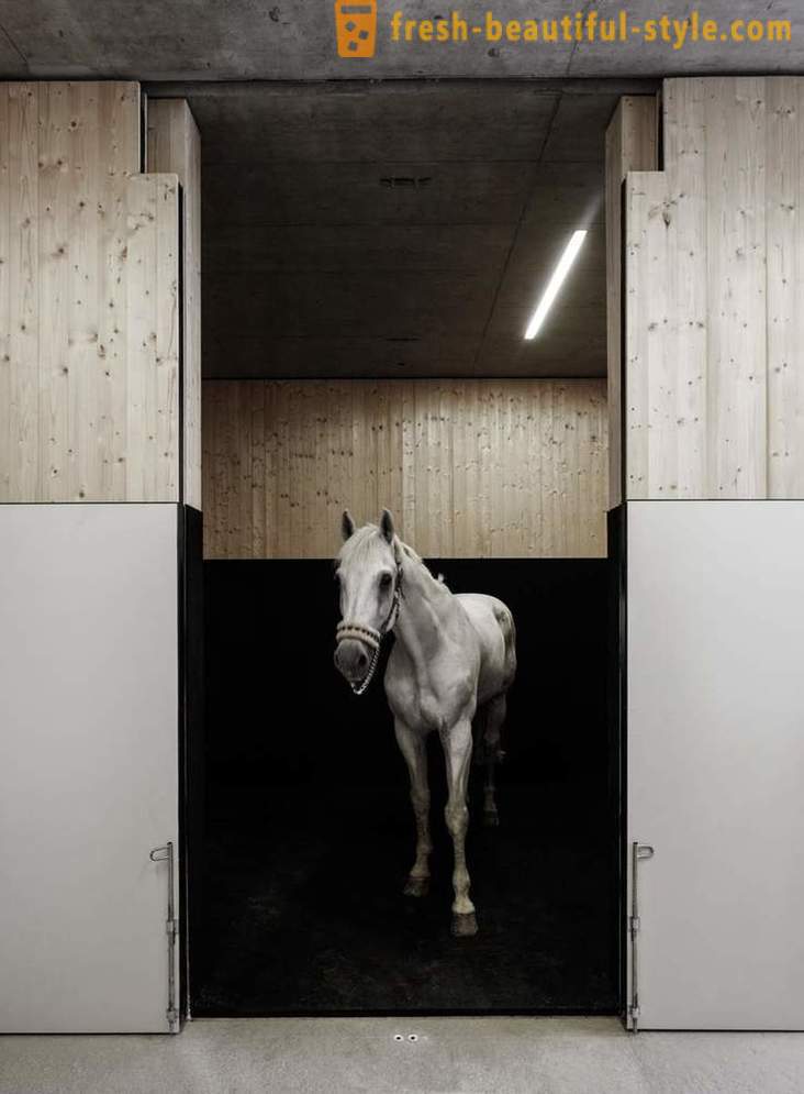Het ontwerp van de veterinaire kliniek voor paarden in Oostenrijk