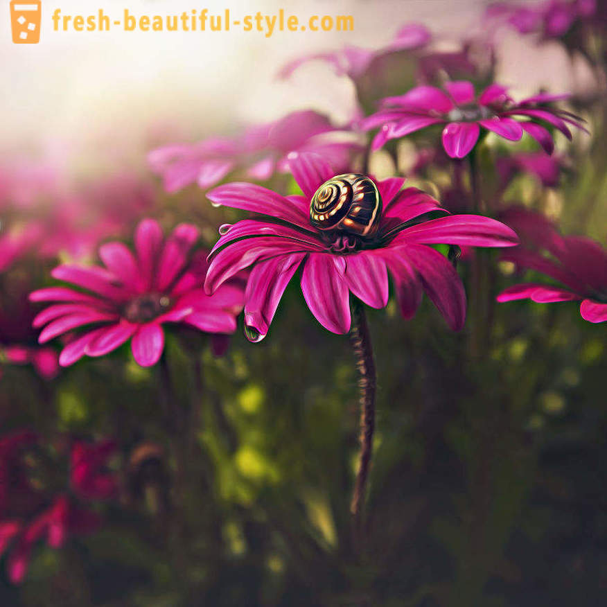 De schoonheid van bloemen in macro fotografie. Prachtige foto's van bloemen.