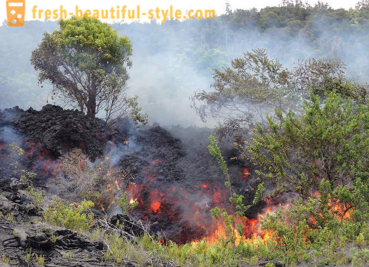 Vulkanische lava stroomt van Kilauea Hawaï