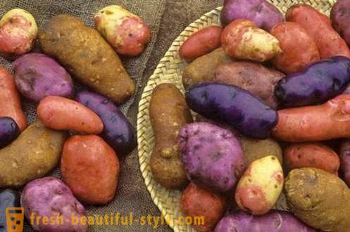 Wat u moet weten over elke aardappel