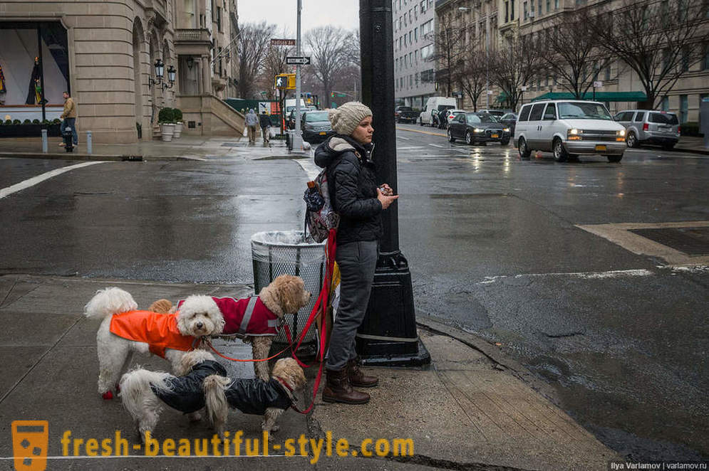 New York: Het vreemde mode, slechte wegen en het hotel van de toekomst