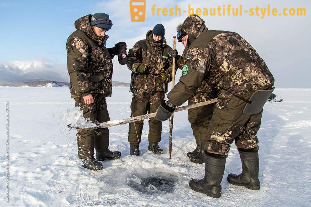 Hoe rybinspektory op Baikal
