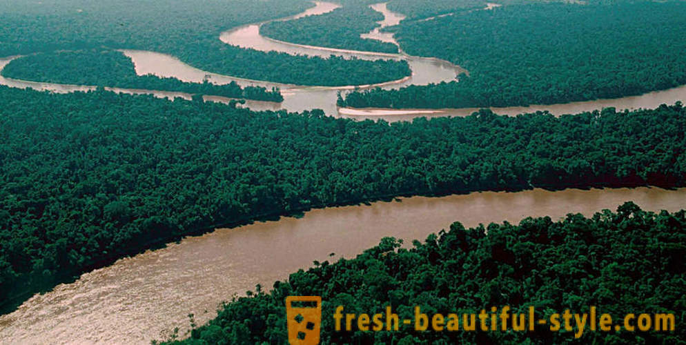 Amazon - natuurlijke wonder van de wereld