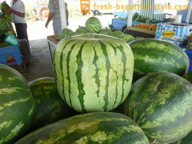12 geurig en sappig feiten over watermeloen
