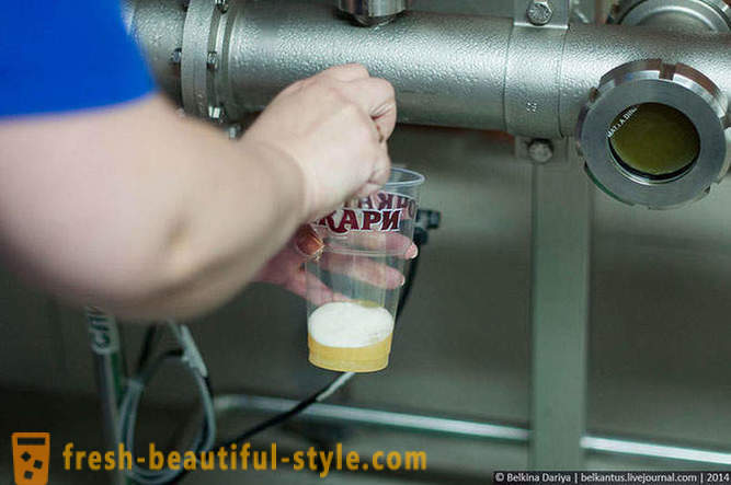 Hoe bier te maken in de Altai Territory