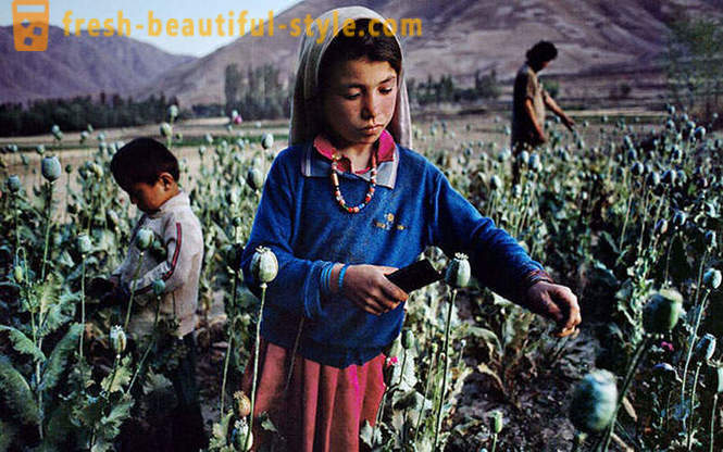 Afghanistan door de lens van Steve McCurry