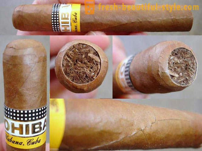 Het proces van het creëren van de beste van de Cubaanse sigaren