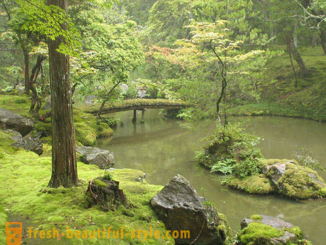 Moss tuin in Japan