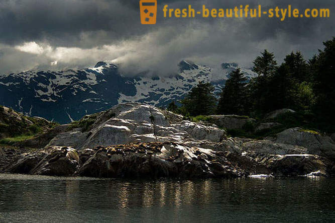 National Park Glacier Bay in Alaska