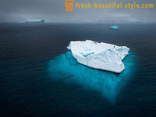 Beste foto's uit de 2012 National Geographic