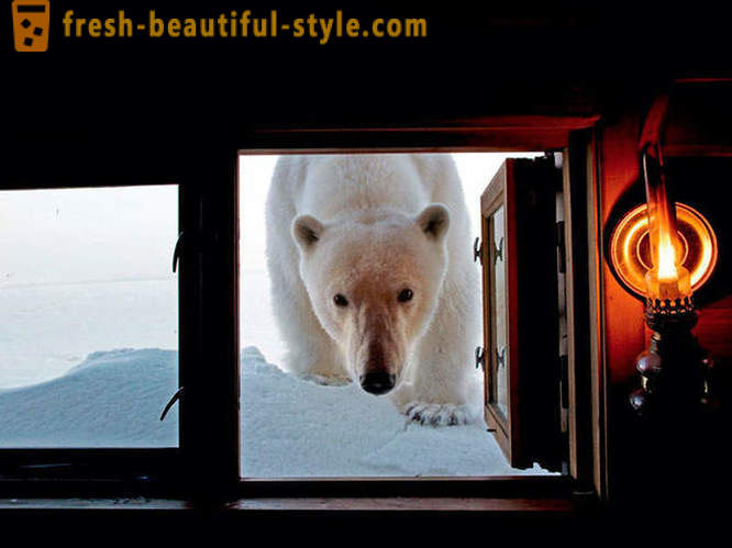 Beste foto's uit de 2012 National Geographic