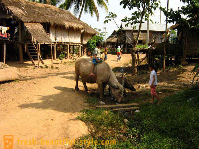 GeoFresher - Hoe te leven in Laos