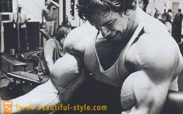 Workout biceps. Het opleidingsprogramma voor biceps
