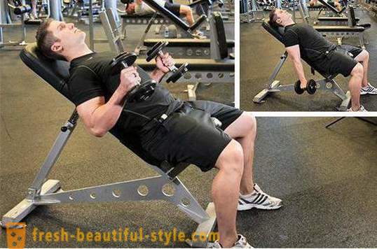 Workout biceps. Het opleidingsprogramma voor biceps