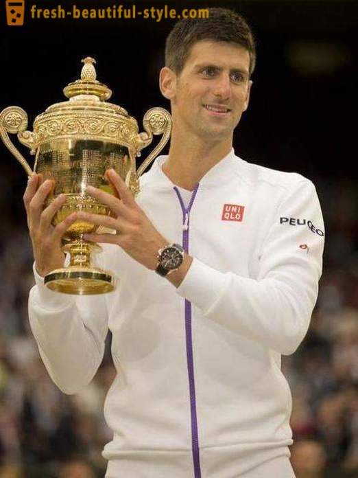 Novak Djokovic - oneindige lengte in de rechtbank