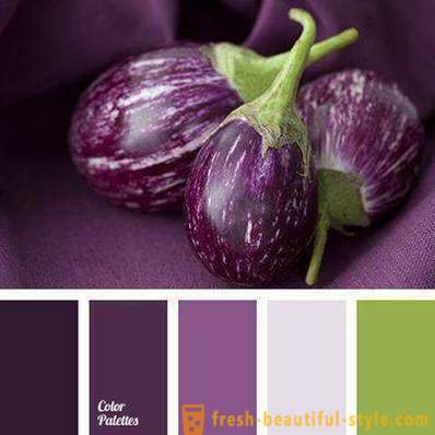 ik lees een boek Chromatisch beneden De kleur van de aubergine in kleding: wat te combineren?