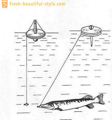 Het vangen van snoek cirkel: De kenmerken van de werkwijze. Pike vissen op de cirkels op de rivier, aan het meer
