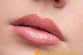 Mooie lippen kan elk meisje heeft