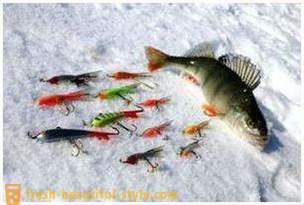 Vissen op de rocker in de winter. vistechniek op de evenwichtsbalk