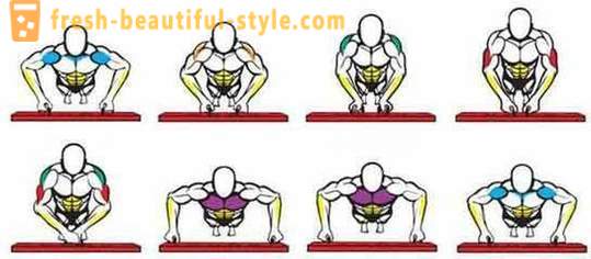 Welke spieren werken samen met push-ups. Welke spieren werken samen met Dips