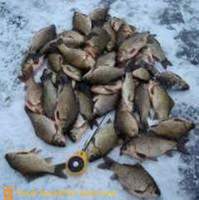 Spannende vissen op karper in de winter